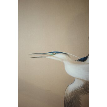 堀田秀叢 五位鷺図 屏風　Z955 