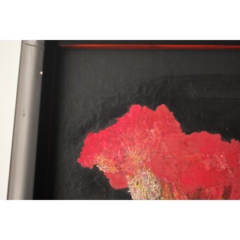 藤井勘圿 藤井勘介 現代作家 鶏頭 額装　Z974 