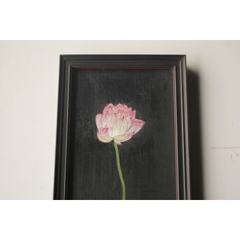 藤井勘圿 藤井勘介 現代作家 蓮 額装　Z975 