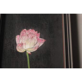 藤井勘圿 藤井勘介 現代作家 蓮 額装　Z975 