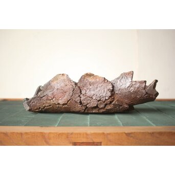 原田拾六 秀逸作 備前 大葉皿　P659 