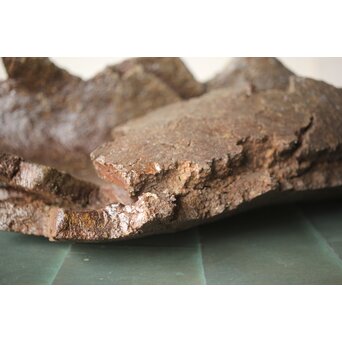 原田拾六 秀逸作 備前 大葉皿　P659 