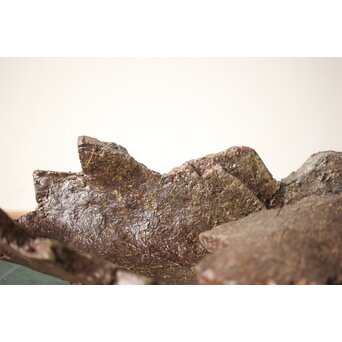 原田拾六 秀逸作 備前 大葉皿　P659 