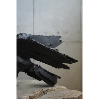 川田清 鉄作家 カラスつがい　M498 