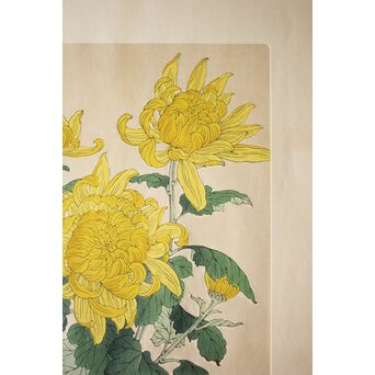 河原崎奨堂 木版画 芸艸堂版【菊】額装　Z997 