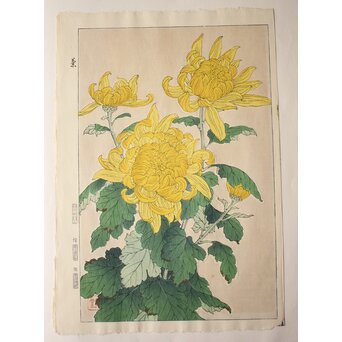 河原崎奨堂 木版画 芸艸堂版【菊】額装　Z997 