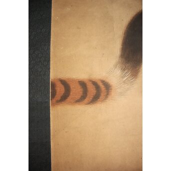 長崎派 猛虎図 紙本掛軸　Z1043 