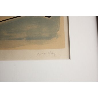 Man Ray「De l'origine des espèces par voie de sélection irrationnelle」Plate 6 リトグラフ　Z1068 